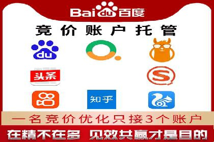 提升转化率：SEM广告投放的实战案例分享